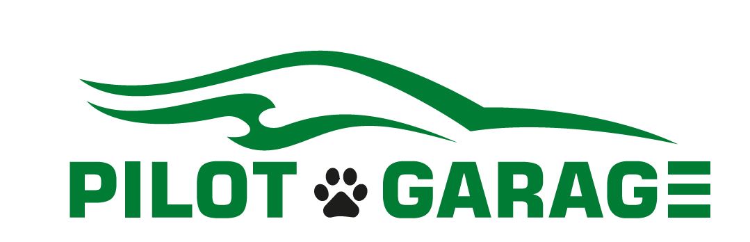 logo pilot garage partner platynowy balu charytatywnego