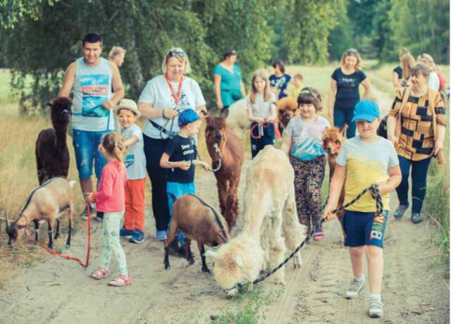 grupa dzieci lamy i kozy