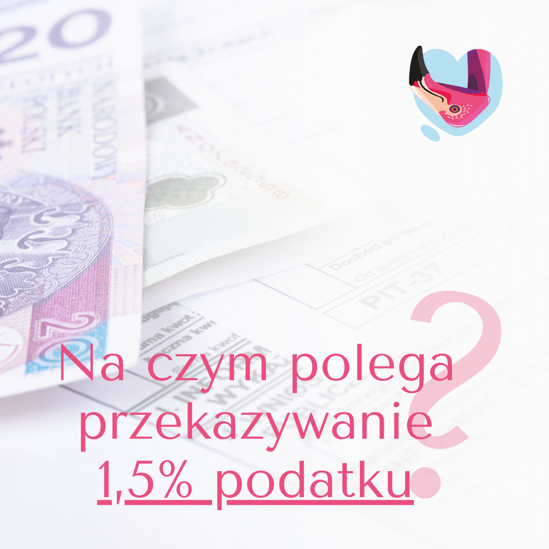 Baner na czym polega przekazywanie 1,5% podatku